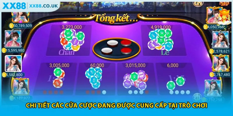 Chi tiết các cửa cược đang được cung cấp tại trò chơi